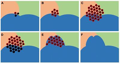 Spatial Stability of Functional Networks: A Measure to Assess the Robustness of Graph-Theoretical Metrics to Spatial Errors Related to Brain Parcellation